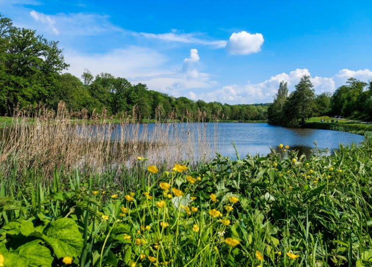 Arboretum de Montmorency , , France